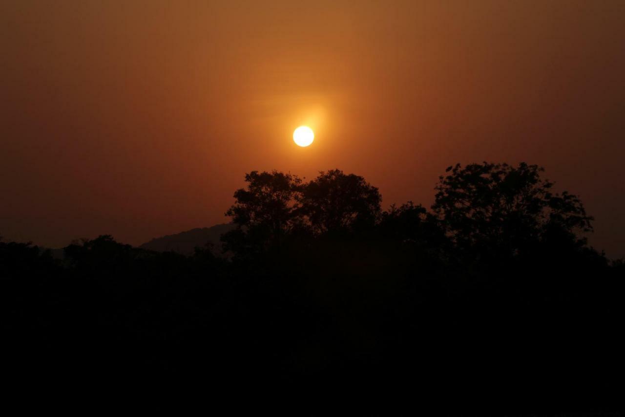 Wasgamu Safari Lodge Wasgamuwa 외부 사진