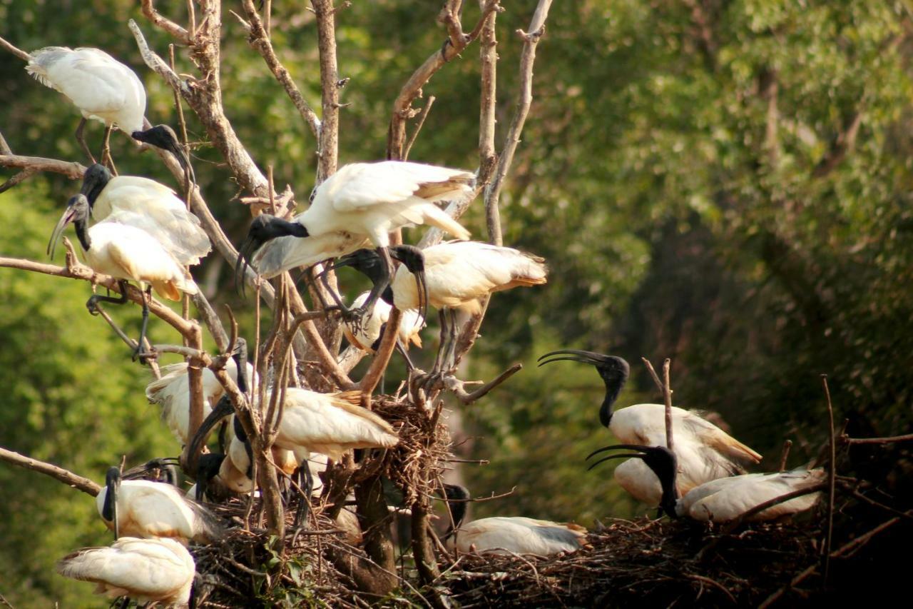 Wasgamu Safari Lodge Wasgamuwa 외부 사진