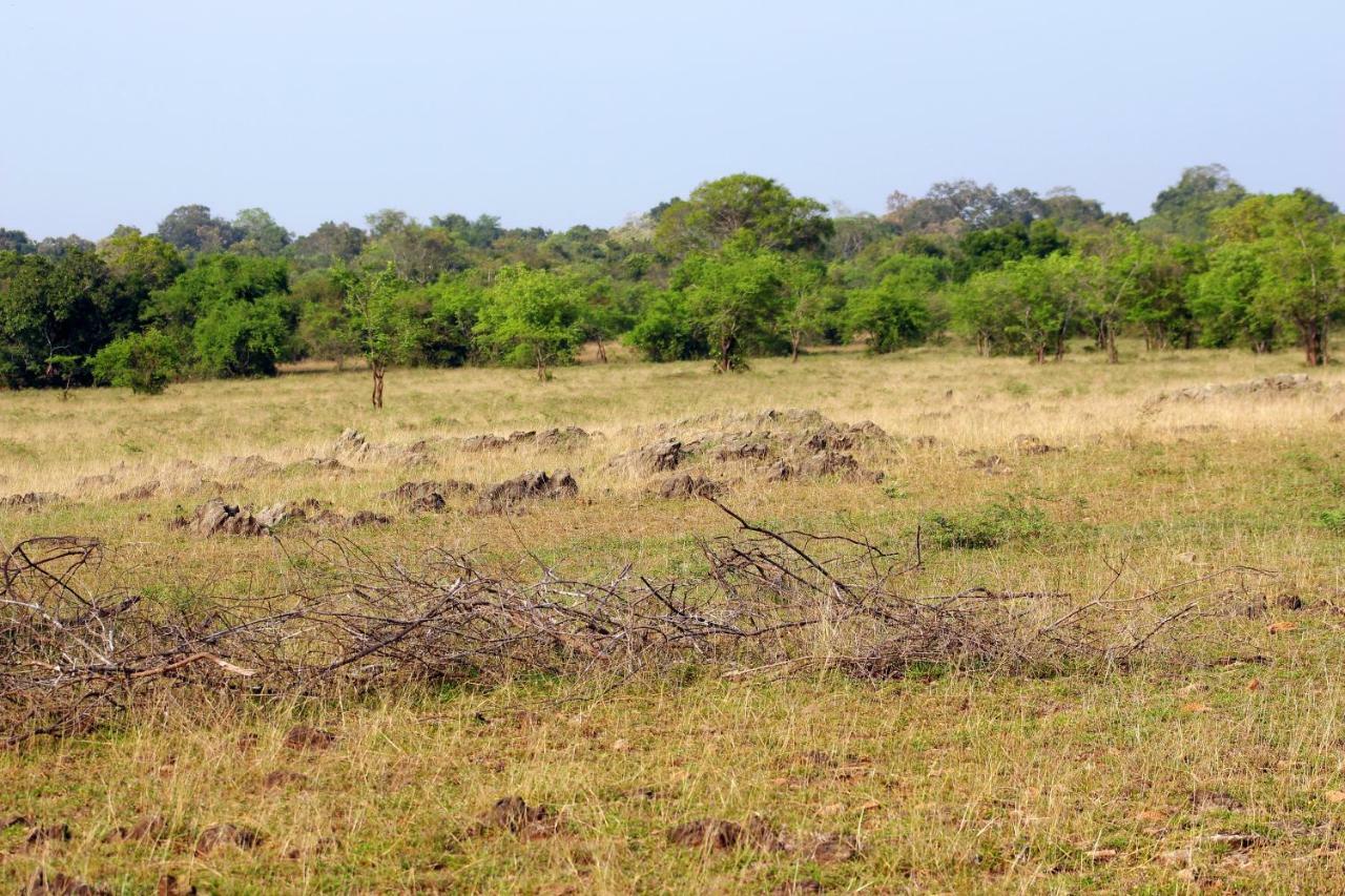Wasgamu Safari Lodge Wasgamuwa 외부 사진